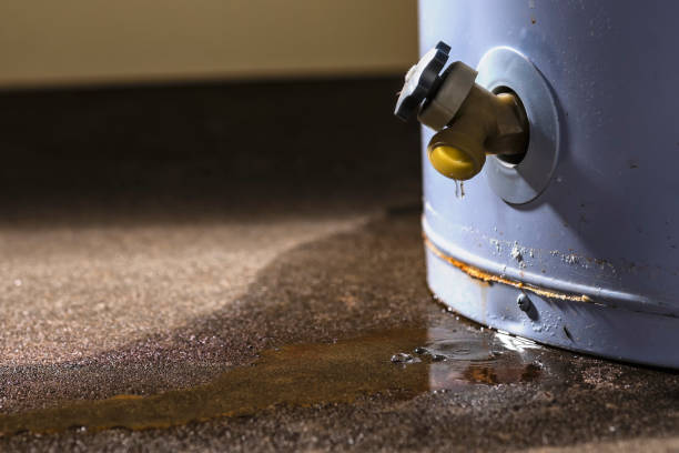 Best Flooded house restoration  in Oreana, IL
