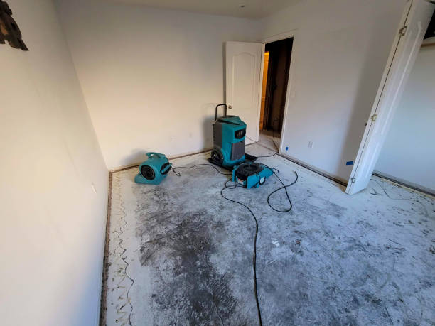 Best Carpet water damage restoration  in Oreana, IL