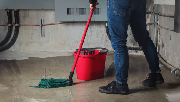 Best Water damage restoration specialists  in Oreana, IL