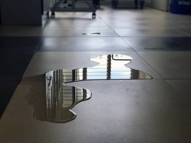 Best Water damage restoration experts  in Oreana, IL