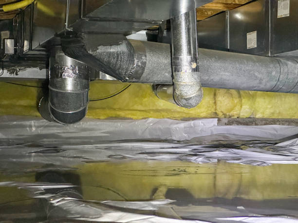 Best Mold removal after water damage  in Oreana, IL