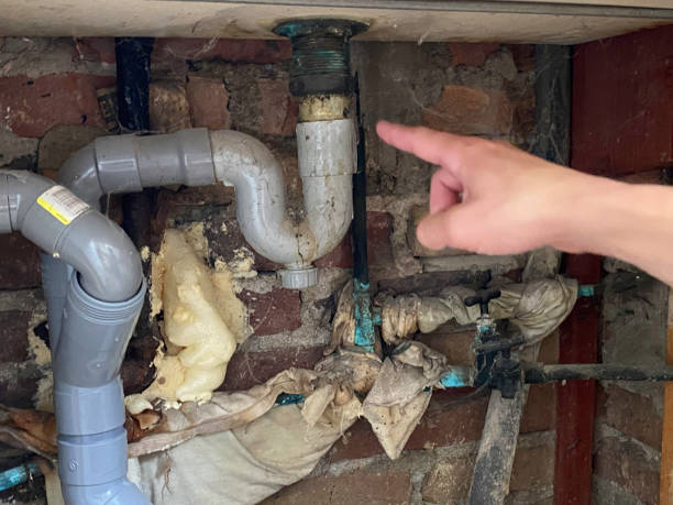 Best Water damage cleanup near me  in Oreana, IL