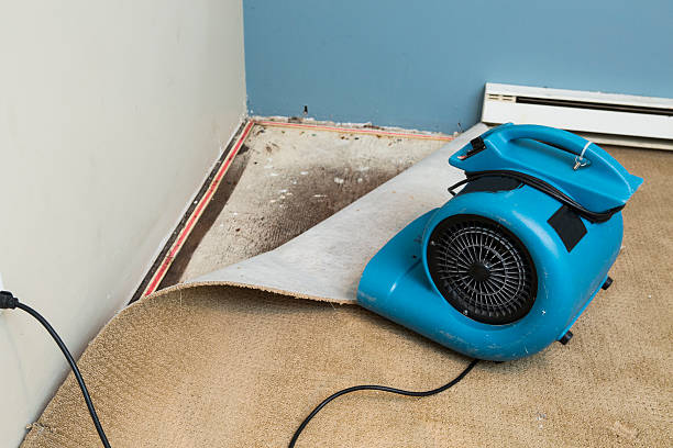 Best Flooded house restoration  in Oreana, IL