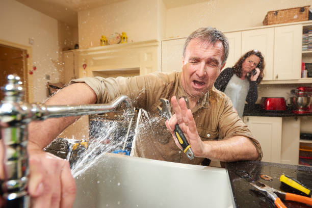 Best Commercial water damage restoration  in Oreana, IL